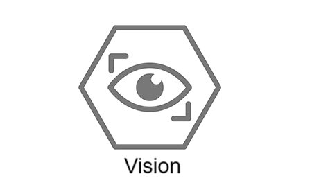 TESy Governance Factor: Vision (v2.0)
