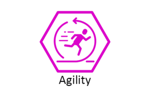 TESy Culture Factor: Agility