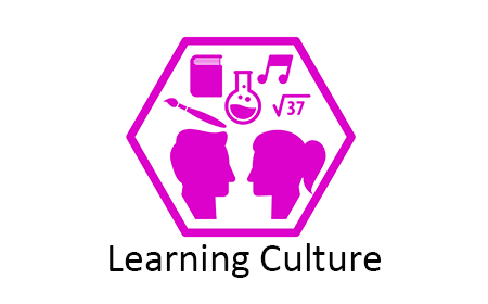 TESy Culture Factor: Learning Culture